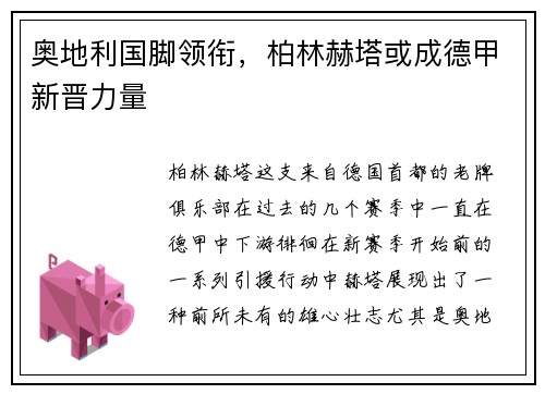 奥地利国脚领衔，柏林赫塔或成德甲新晋力量